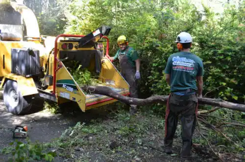 tree services Esparto